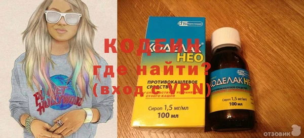 стаф Корсаков