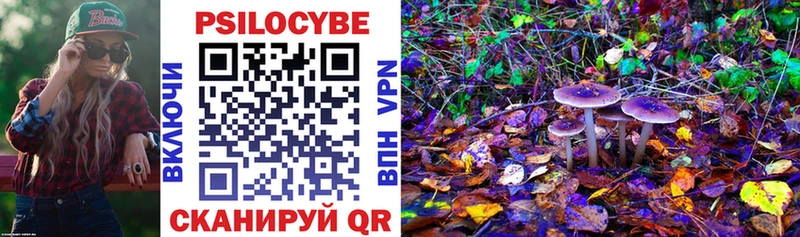 Галлюциногенные грибы Psilocybine cubensis  Купить закладки  Белоозёрский 
